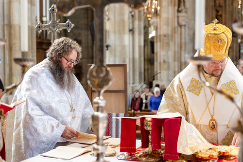 Priesterweihe Byzantinischer Ritus im Stephansdom / Erzdiözese Wien/ Schönlaub
