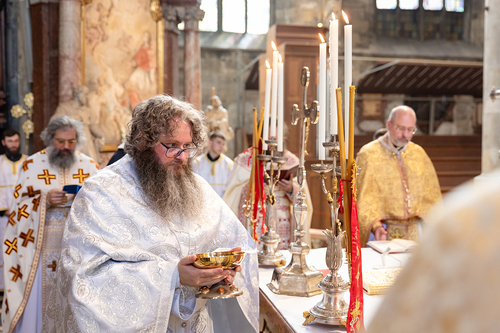 Priesterweihe Byzantinischer Ritus im Stephansdom / Erzdiözese Wien/ Schönlaub