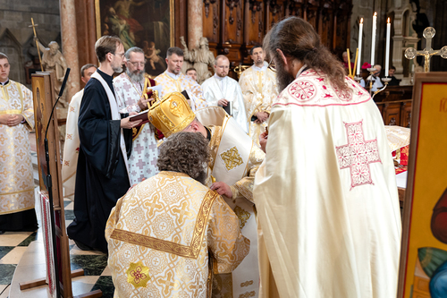 Priesterweihe Byzantinischer Ritus im Stephansdom / Erzdiözese Wien/ Schönlaub