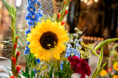 Fiacriusmesse 2025 / Erzdiözese Wien/Schönlaub, Stephan Schönlaub