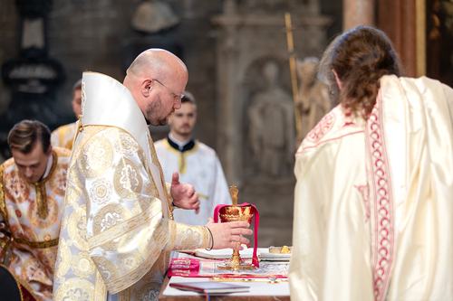 Priesterweihe Byzantinischer Ritus im Stephansdom / Erzdiözese Wien/ Schönlaub
