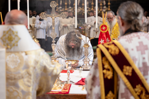 Priesterweihe Byzantinischer Ritus im Stephansdom / Erzdiözese Wien/ Schönlaub